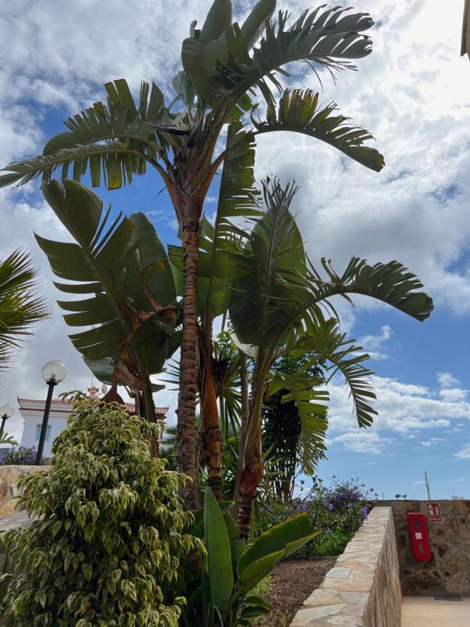 Apartamento Aloha